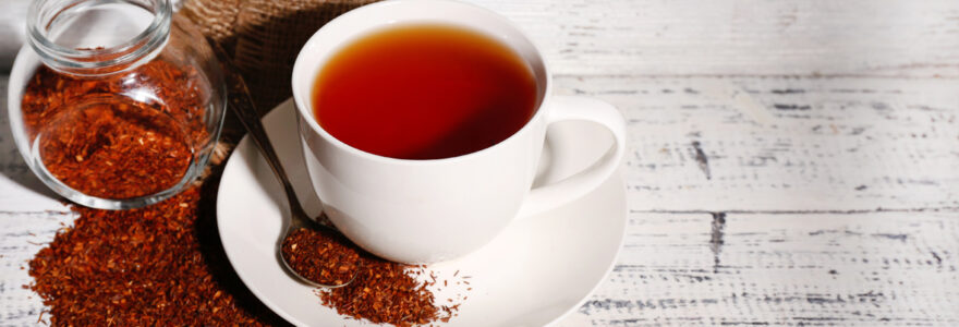 rooibos